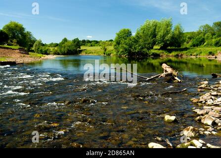 Fiume Usk dalla passeggiata della valle di Usk, il Bryn vicino Abergavenny, Monboccuthshire, Galles Foto Stock