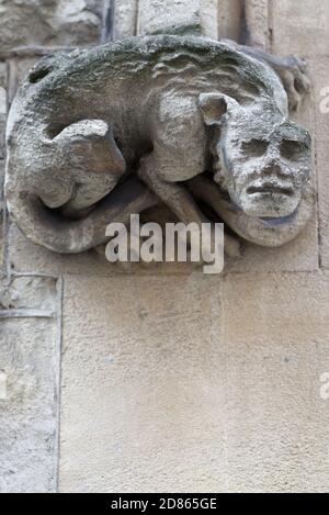 Guildhall pietra Dragon, gargoyle Foto Stock