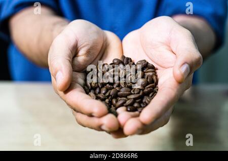 I chicchi di caffè appena tostati sono mostrati nelle mani Foto Stock