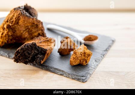 Fungo naturale sano e naturale della chaga, polvere di Inonotus oblichus e pezzi forma che fanno tè, caffè e rimedio alle erbe. Da tronco di albero. Foto Stock