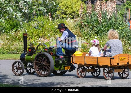 Motore a vapore in miniatura locale e treno che tira le persone in una mini carrozza. Foto Stock