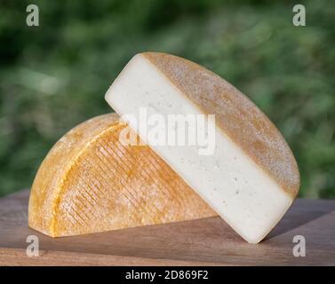 Formaggio artigianale da mucche e capre latte. Testa cilindrica Foto Stock