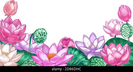 Sfondo Lotus. Banner floreale disegnato a mano con fiori rosa di loto e foglie design per centro yoga, cosmetici, biglietto d'auguri modello vettore Illustrazione Vettoriale
