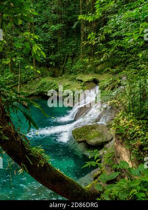 Reach Falls, Portland Parish, Giamaica Foto Stock