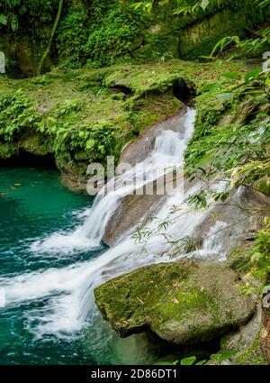 Reach Falls, Portland Parish, Giamaica Foto Stock