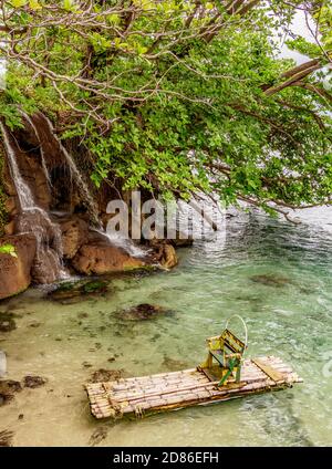Little Dunn's River Falls, Ocho Rios, Saint Ann Parish, Giamaica Foto Stock