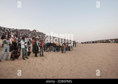 Camel Festival, Bikaner, Rajasthan, India, Asia Foto Stock