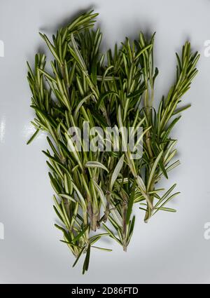 macro shot di frutta erba agrume verde fresco Foto Stock