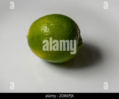 Calce macro singola Foto Stock