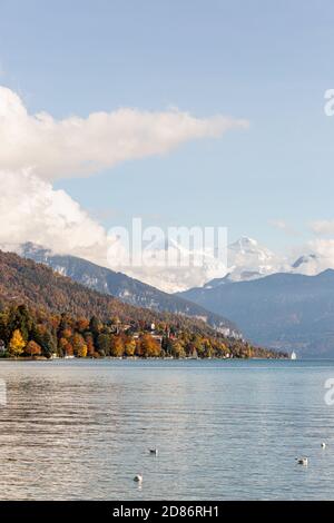 Autunno al lago Thun in Svizzera Foto Stock