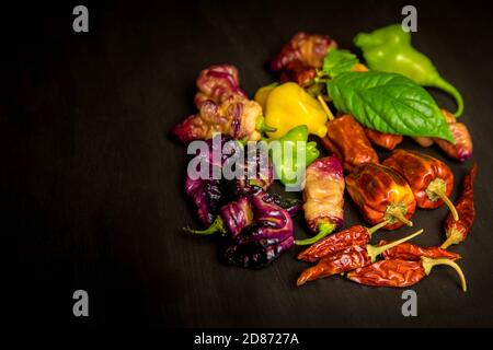 Diversi tipi di peperoncini su sfondo nero. Sfondo vegetale, spazio di copia. Spezie calde. Foto Stock
