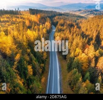 Vista aerea della strada di montagna nella foresta al tramonto in autunno Foto Stock