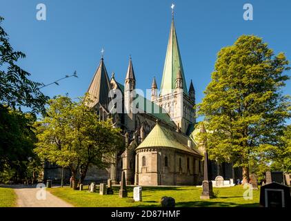 Cattedrale di Nidaros, Cattedrale, Trondheim, Trøndelag, Norvegia, Scandinavia, Europa, viaggio d'avventura, Ufficio dei Presidenti del Co. Dei Vescovi norvegesi Foto Stock