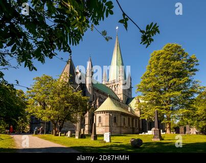 Cattedrale di Nidaros, Cattedrale, Trondheim, Trøndelag, Norvegia, Scandinavia, Europa, viaggio d'avventura, Ufficio dei Presidenti del Co. Dei Vescovi norvegesi Foto Stock