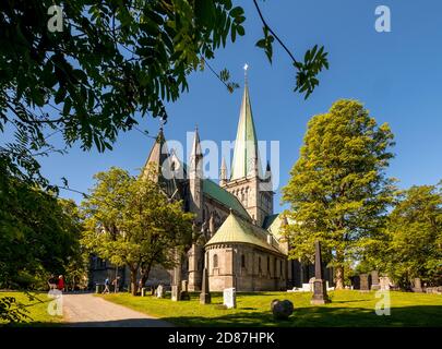 Cattedrale di Nidaros, Cattedrale, Trondheim, Trøndelag, Norvegia, Scandinavia, Europa, viaggio d'avventura, Ufficio dei Presidenti del Co. Dei Vescovi norvegesi Foto Stock