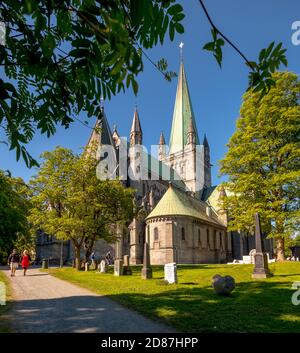 Cattedrale di Nidaros, Cattedrale, Trondheim, Trøndelag, Norvegia, Scandinavia, Europa, viaggio d'avventura, Ufficio dei Presidenti del Co. Dei Vescovi norvegesi Foto Stock