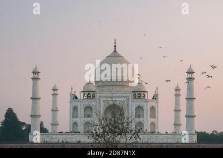 Taj Mahal al tramonto mentre gli uccelli volano intorno, come visto dal punto di vista Mehtab Bagh, Agra Foto Stock