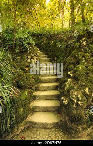 Vecchia scala in pietra in un giardino Foto Stock