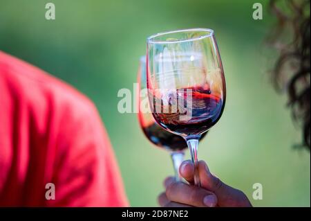 Porta a mano due bicchieri con vino rosso accanto all'uva in natura Foto Stock