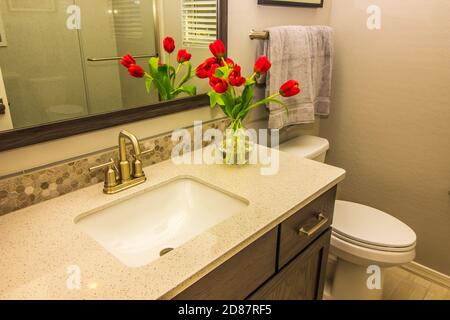 Bagno per gli ospiti con bancone, specchio e vaso per fiori Foto Stock
