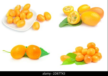 Set di cumquat isolati su uno sfondo bianco ritagliato Foto Stock
