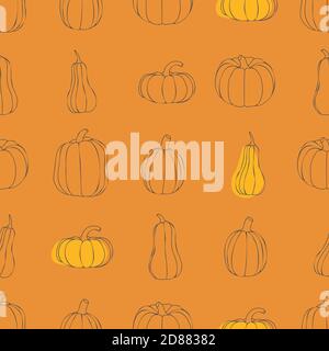 Modello senza giunture vettore di zucca. Zucche arancioni di varie dimensioni. Illustrazione Vettoriale