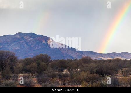 Arcobaleno e cumulonimbus tempesta nuvole sopra Mt Sonder / Rwetyepme (1380m) , Tjoritja / West McDonnell Ranges National Park Foto Stock