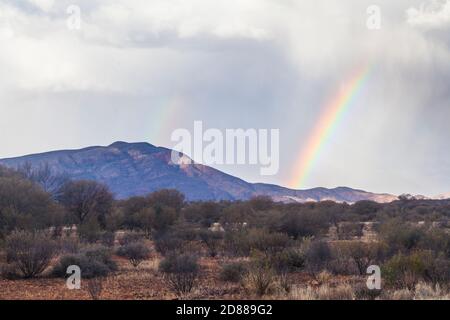 Arcobaleno e cumulonimbus tempesta nuvole sopra Mt Sonder / Rwetyepme (1380m) , Tjoritja / West McDonnell Ranges National Park Foto Stock