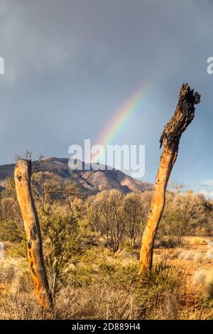 Arcobaleno e cumulonimbus tempesta nuvole sopra Mt Sonder / Rwetyepme (1380m) , Tjoritja / West McDonnell Ranges National Park Foto Stock