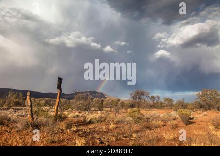 Arcobaleno e cumulonimbus tempesta nuvole sopra Mt Sonder / Rwetyepme (1380m) , Tjoritja / West McDonnell Ranges National Park Foto Stock