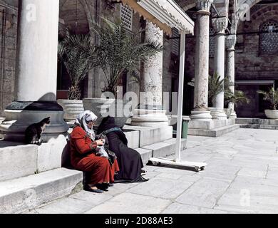 Un gatto si stende con due donne più anziane vestite in abaya e hijab nel cortile esterno di una moschea a Istanbul, Turchia. Foto Stock
