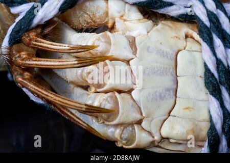 Primo piano dei granchi pelosi del lago Yangcheng Foto Stock