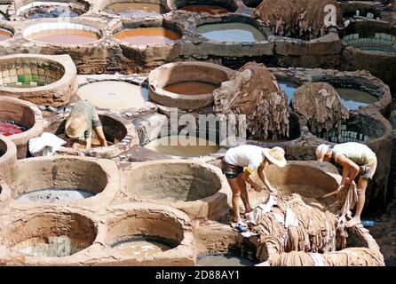 Tre uomini marocchini preparano la rwhide per ammorbidire e tingere nella Tanneria Chouara di Fez, in Marocco. Foto Stock