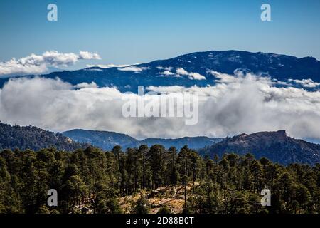 Le montagne Rincon drappeggiato nelle nuvole vicino a Tucson, Arizona. Foto Stock