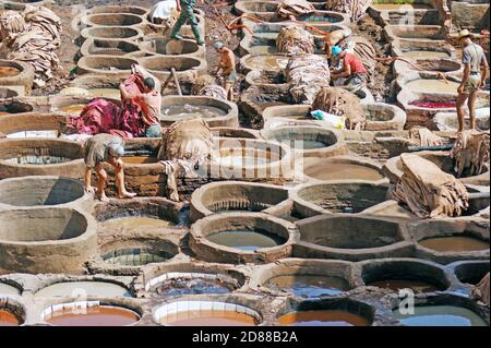 I lavoratori manuali lavorano i tini di pietra della Tanneria Chouara a Fez, Marocco, dove le pelli vengono ammorbidite e tinte per l'industria della pelle. Foto Stock