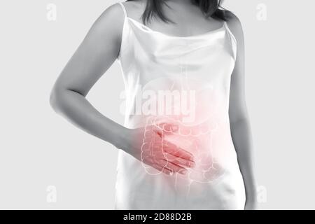 illustrazione dell'intestino crasso e degli organi interni del corpo femminile su sfondo grigio. Cancro del colon. Il concetto di trattamento medico Foto Stock