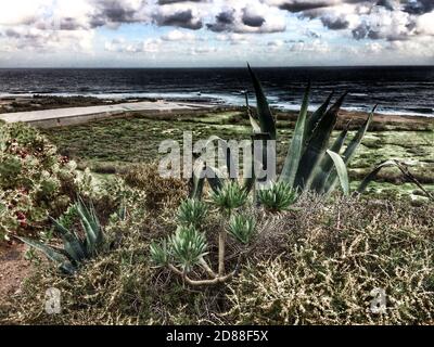 Tenerife costa selvaggia in Hidalgo Foto Stock