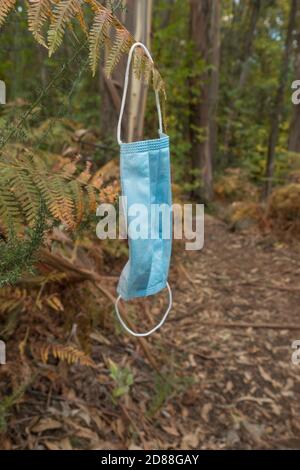 Maschera chirurgica blu lasciata in foresta, inquinamento. Foto Stock