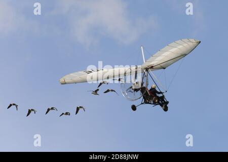 Mollis, Kanton Glarus (GL)/ Svizzera - Agosto 16 2019: Air Show da Christian Moullec, volando un aeromobile ultraleggero scortato da un'oca di Barnacle Foto Stock