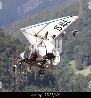 Mollis, Kanton Glarus (GL)/ Svizzera - Agosto 16 2019: Air Show da Christian Moullec, volando un aeromobile ultraleggero scortato da un'oca di Barnacle Foto Stock