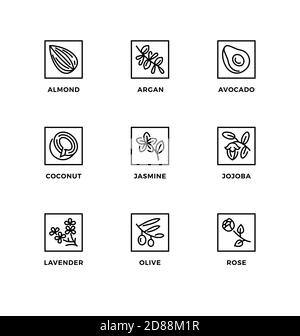 Insieme vettoriale di elementi di design, modello di logo, icone e badge per oli alimentari sani per la cucina o per la bio-cosmetica. Set di icone di linea, modificabile Illustrazione Vettoriale