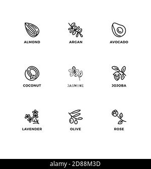 Insieme vettoriale di elementi di design, modello di logo, icone e badge per oli alimentari sani per la cucina o per la bio-cosmetica. Set di icone di linea, modificabile Illustrazione Vettoriale
