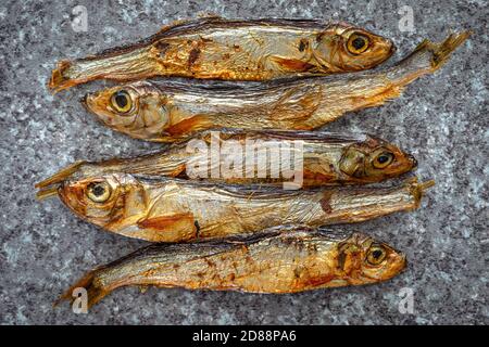 Un primo piano di spratti, il pesce che è molto sano per tutti gli animali e la gente Foto Stock