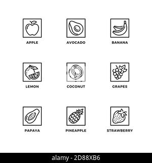 Insieme vettoriale di elementi di disegno, modello di disegno del logo, icone e distintivi per fruttis sano. Set di icone di linea, tratto modificabile. Illustrazione Vettoriale