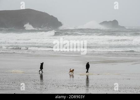 Newquay, Cornovaglia, Regno Unito. 28 ottobre 2020. Regno Unito Meteo. Gli escursionisti del cane lottano per camminare nei forti venti gustosi sulla spiaggia di Fistral mentre le grandi onde dai resti dell'uragano Epsilon si schiantano a Newquay in Cornovaglia durante le vacanze scolastiche di metà periodo. Picture Credit: Graham Hunt/Alamy Live News Foto Stock