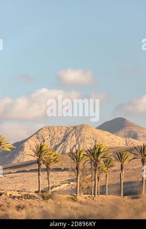 Spiaggia di Los Molinos a Fuerteventura, Isole Canarie nell'estate 2020. Foto Stock