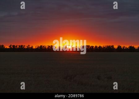 arancione tramonto luminoso sul campo Foto Stock