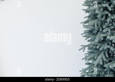 Rami di decorazione dell'albero di Natale per il posto di nuovo anno per iscrizione Foto Stock