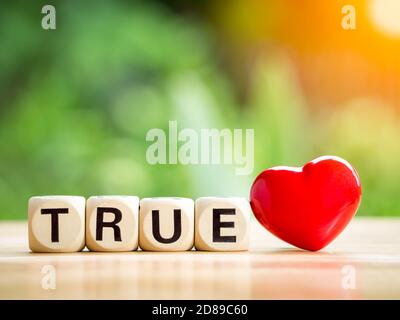 La parola VERO è scritta da un blocco di legno e ha un cuore rosso sul lato invece di un mezzo di amore. Amore minimo e concetto di San Valentino. Madri Foto Stock