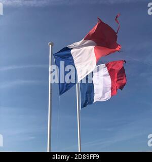 Due bandiere francesi che soffiano nel vento, Nizza, Alpes-Maritimes, Francia Foto Stock